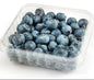 Arandano Pote 125 GRS