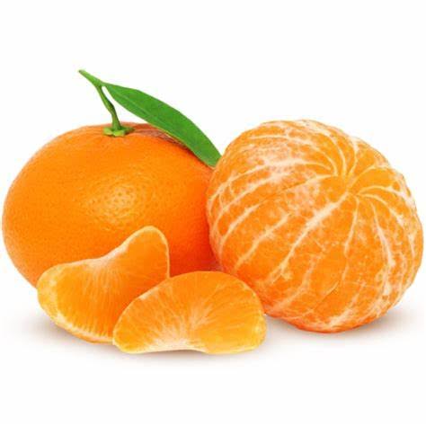 MANDARINA KG
