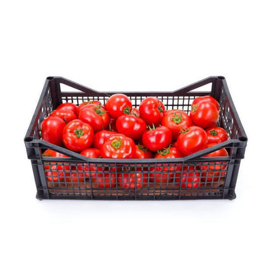 TOMATE 1a  17 kg aprox CAJA