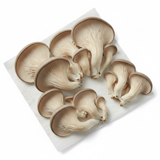 Champiñón Ostra fresco 200 gramos