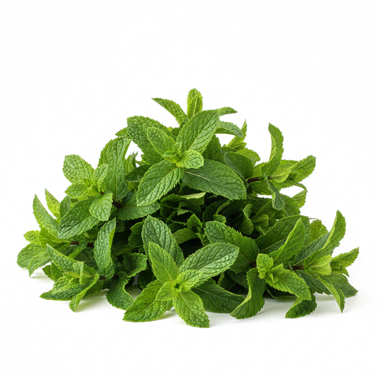 Menta kg fondo blanco