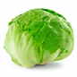 Lechuga Escarola Un - Puerto Errante, proveedor en Valparaíso
