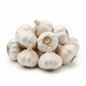 Ajos unidad fondo blanco
