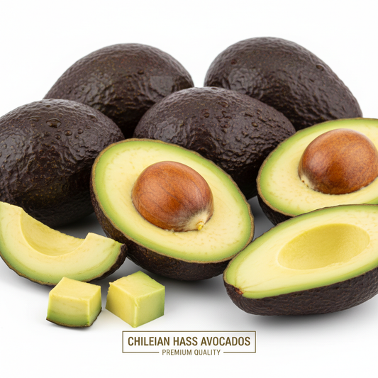 Palta Hass primera chilena fondo blanco