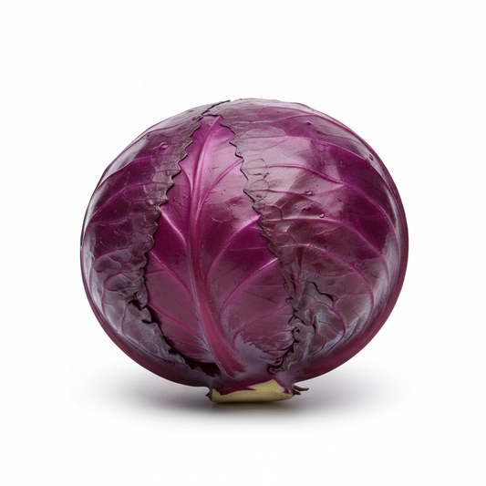 Repollo morado unidad fondo blanco